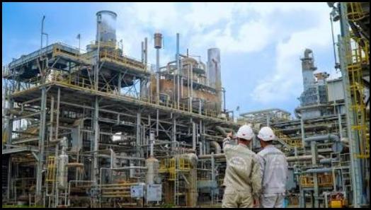 Phú Mỹ Fertilizer Plant: 22 Years of Solid Foundation, Accelerating Toward Smart Manufacturing